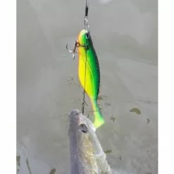 Rozemeijer Shallow Screw Stinger 18cm/size 2 2