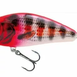 Salmo Fatso 10cm Floating Holo Red Head Striper