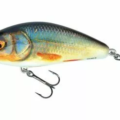 Salmo Fatso 10cm Sinking Real Roach